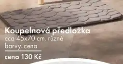 TEDi Koupelnová předložka nabídka