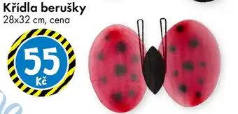 TEDi Křídla berušky nabídka