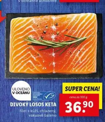 Lidl Divoký losos keta nabídka