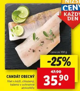 Lidl Candát obecný nabídka