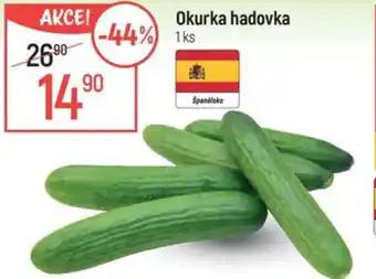 Globus Okurka hadovka nabídka