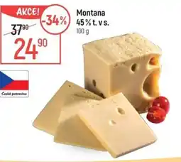 Globus Montana 45% t.v.s nabídka