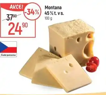 Globus Montana 45% t.v.s nabídka