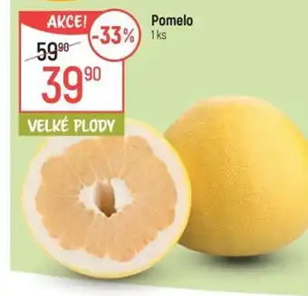 Globus Pomelo nabídka