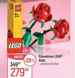 Globus Stavebnice LEGO® Růže nabídka