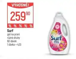 Globus Surf nabídka