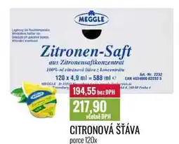 Ratio CITRONOVÁ ŠŤÁVA porce 120x nabídka