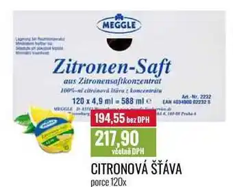 Ratio CITRONOVÁ ŠŤÁVA porce 120x nabídka