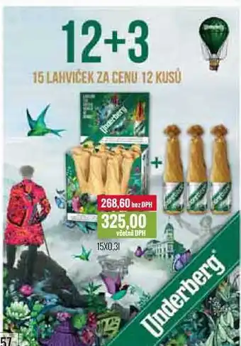 Ratio Underberg 15x0,3l nabídka