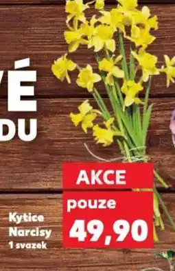 Kaufland Kytice Narcisy nabídka