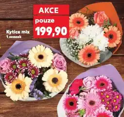 Kaufland Kytice mix nabídka