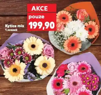 Kaufland Kytice mix nabídka