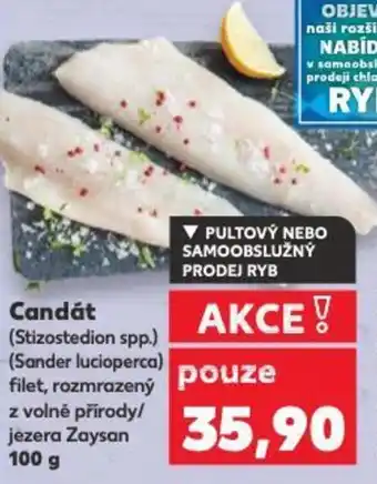 Kaufland Candát nabídka