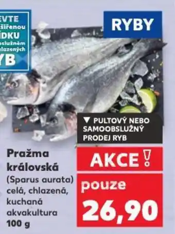 Kaufland Pražma královská nabídka