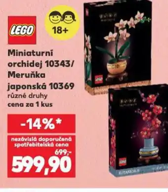 Kaufland Miniaturní orchidej 10343/ Meruňka japonská 10369 nabídka