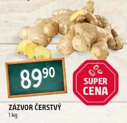 Terno Zázvor čerstvý nabídka