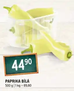 Terno Paprika bílá nabídka