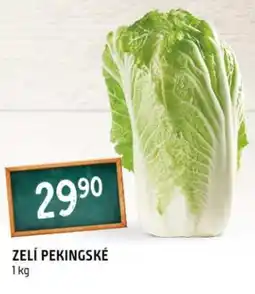 Terno Zelí pekingské nabídka