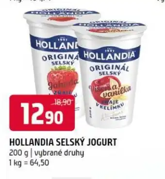 Terno Hollandia selský jogurt nabídka