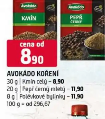 Terno AVOKÁDO Koreni nabídka