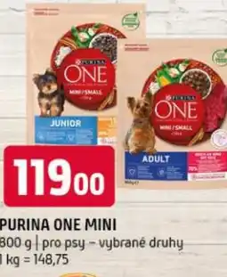 Terno PURINA One mini nabídka