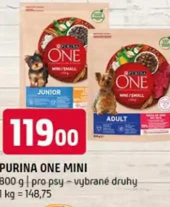 Terno PURINA One mini nabídka