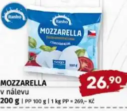 Terno Mozzarella v nálevu nabídka