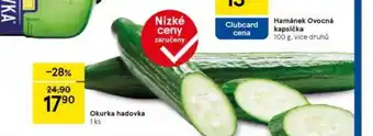 Tesco Okurka hadovka nabídka