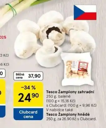 Tesco Žampiony zahradní nabídka