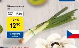 Tesco Cibule svazková nabídka