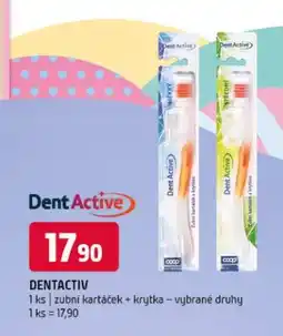 Terno DENTACTIV nabídka