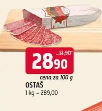 Terno Ostas nabídka