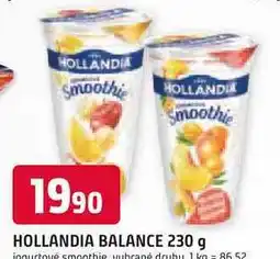 Trefa HOLLANDIA BALANCE 230 g nabídka