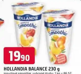 Trefa HOLLANDIA BALANCE 230 g nabídka