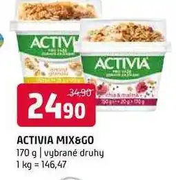 Terno Activia mix go 170g nabídka