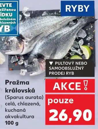 Trefa Pražma královská nabídka