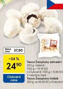 Tesco Tesco žampiony zahradní, 250 g nabídka