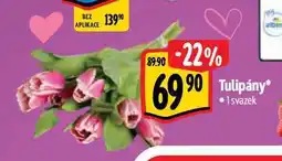 Tulipány 1 svazek