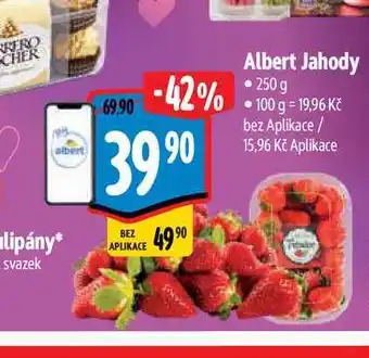 Albert Albert Jahody 250g nabídka