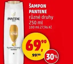 Penny Market PANTENE Šampon nabídka