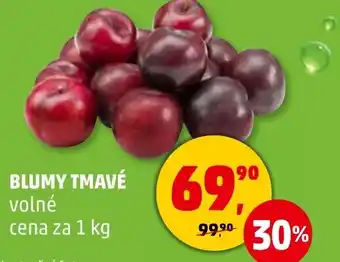 Penny Market Blumy tmavé nabídka