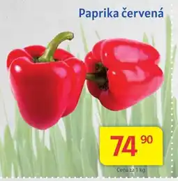 Kubík potraviny Paprika červená nabídka