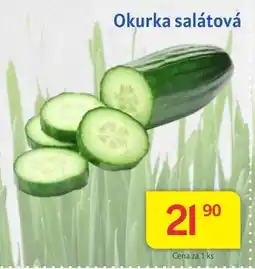 Kubík potraviny Okurka salátová nabídka