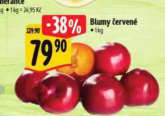 Albert Blumy červené nabídka