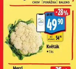 Albert Květák nabídka