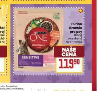 Billa Purina one granule pro psy nabídka