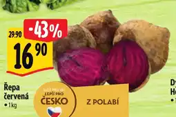 Albert Řepa červená • nabídka