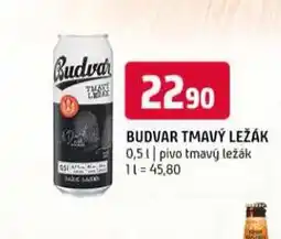 Terno Pivo budvar nabídka