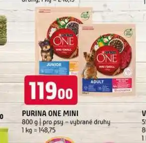 Terno Purina one granule pro psy nabídka