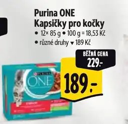 Albert Purina ONE Kapsičky pro kočky nabídka
